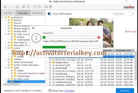 Stellar Data Recovery for iPhone 5.0.0.6 Crack & Serial Key